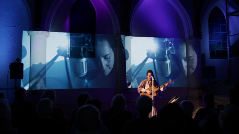 DINA Visual Live Concert (2024)